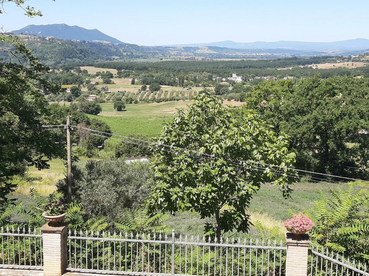 Villa Pacchini Poggio Mirteto Kültér fotó