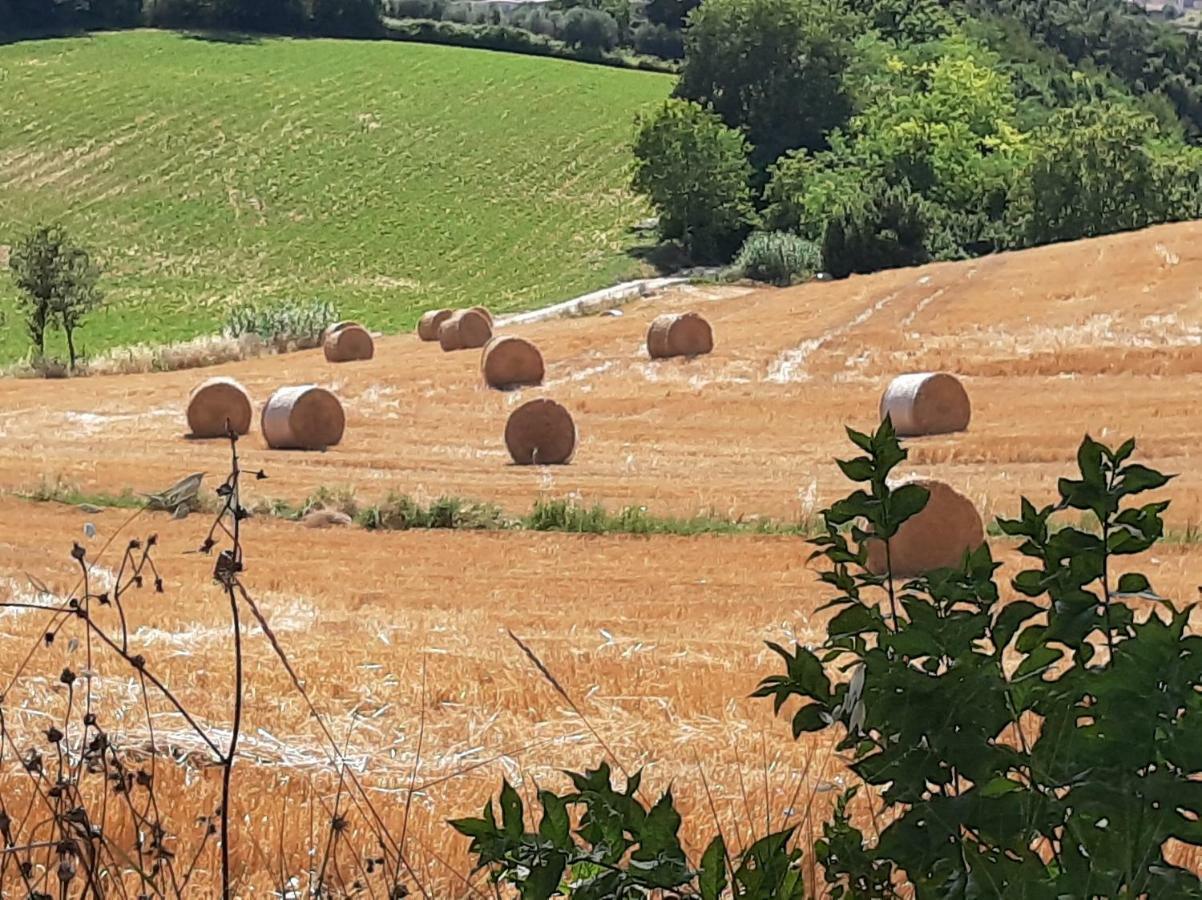 Villa Pacchini Poggio Mirteto Kültér fotó